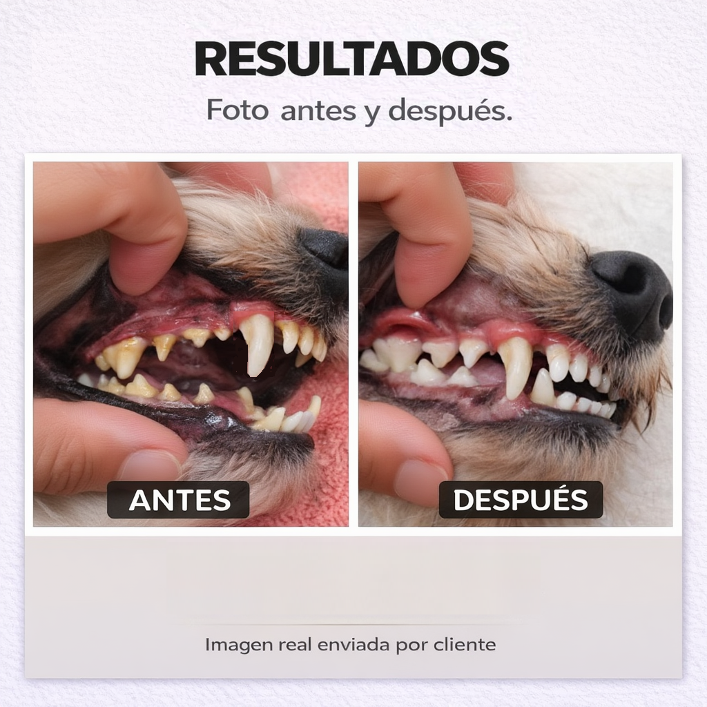 🐶 PETFRESH™ - Vuelve a abrazar a tu perro sin ese mal olor incómodo