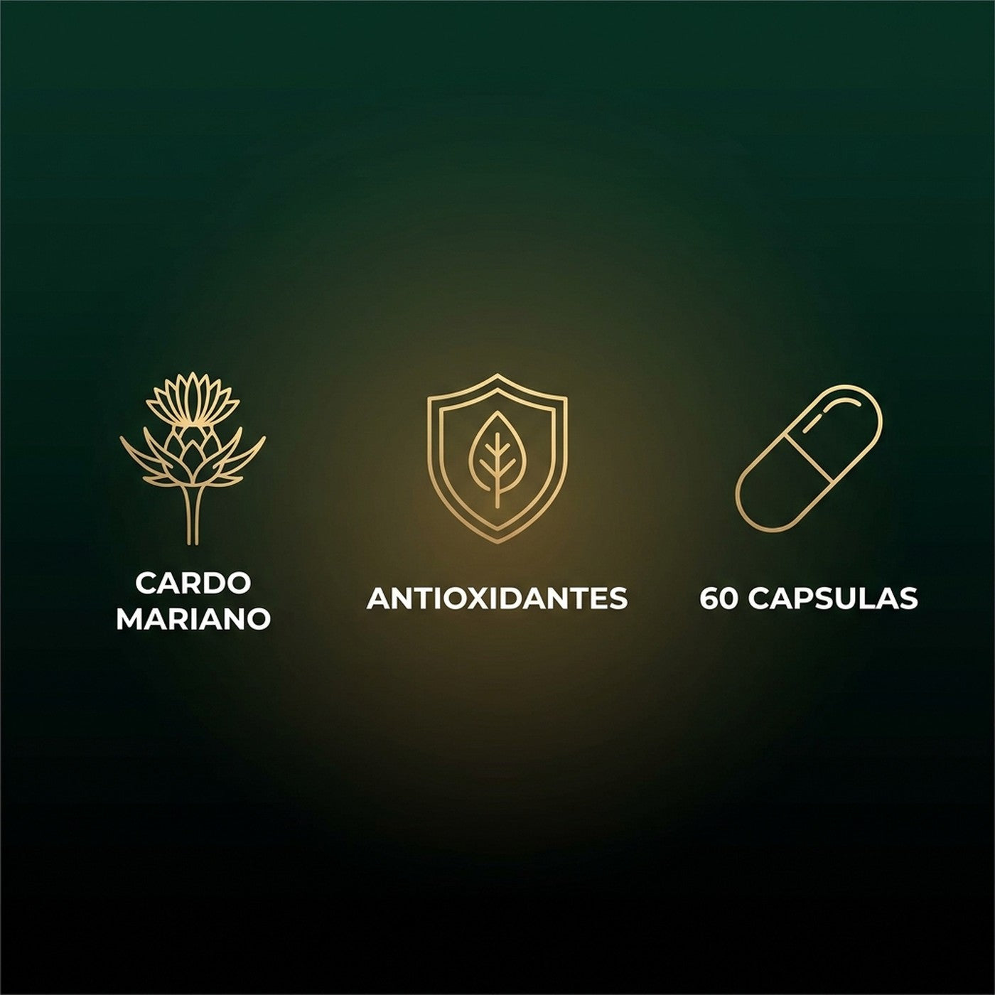 Liver Support: cardo mariano, antioxidantes, 60 capsulas