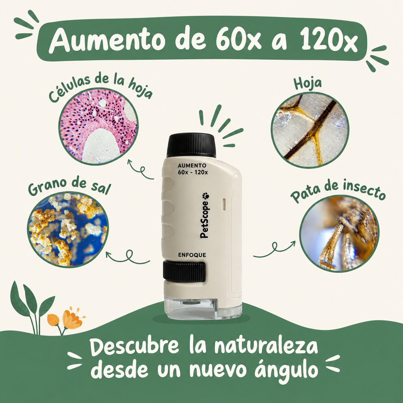 Petiscope con aumento de 60x a 120x: celulas de hoja, sal y patas de insecto