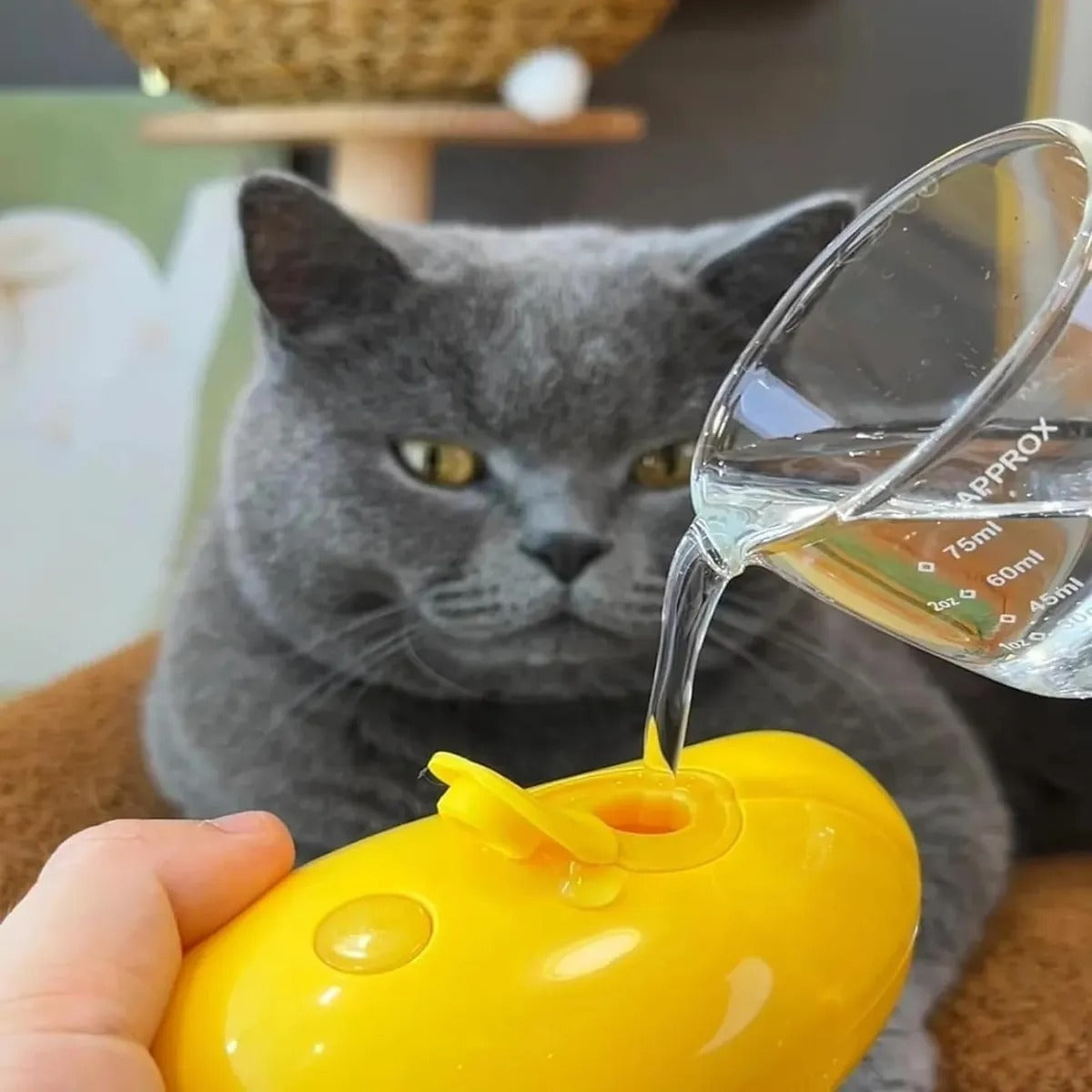 CEPILLO HUMIDIFICADOR DE MASCOTAS