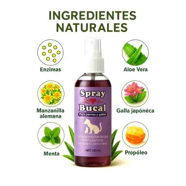 Spray Bucal PetFresh™ 100ml – Aliento fresco y dientes sanos
