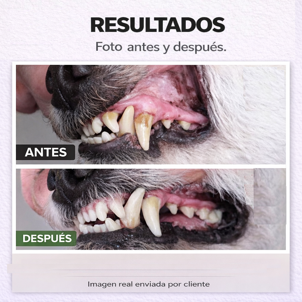 🐶 PETFRESH™ - Vuelve a abrazar a tu perro sin ese mal olor incómodo