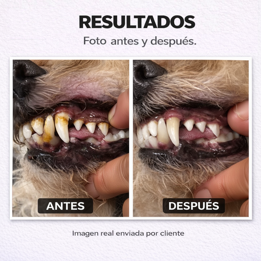 🐶 PETFRESH™ - Vuelve a abrazar a tu perro sin ese mal olor incómodo