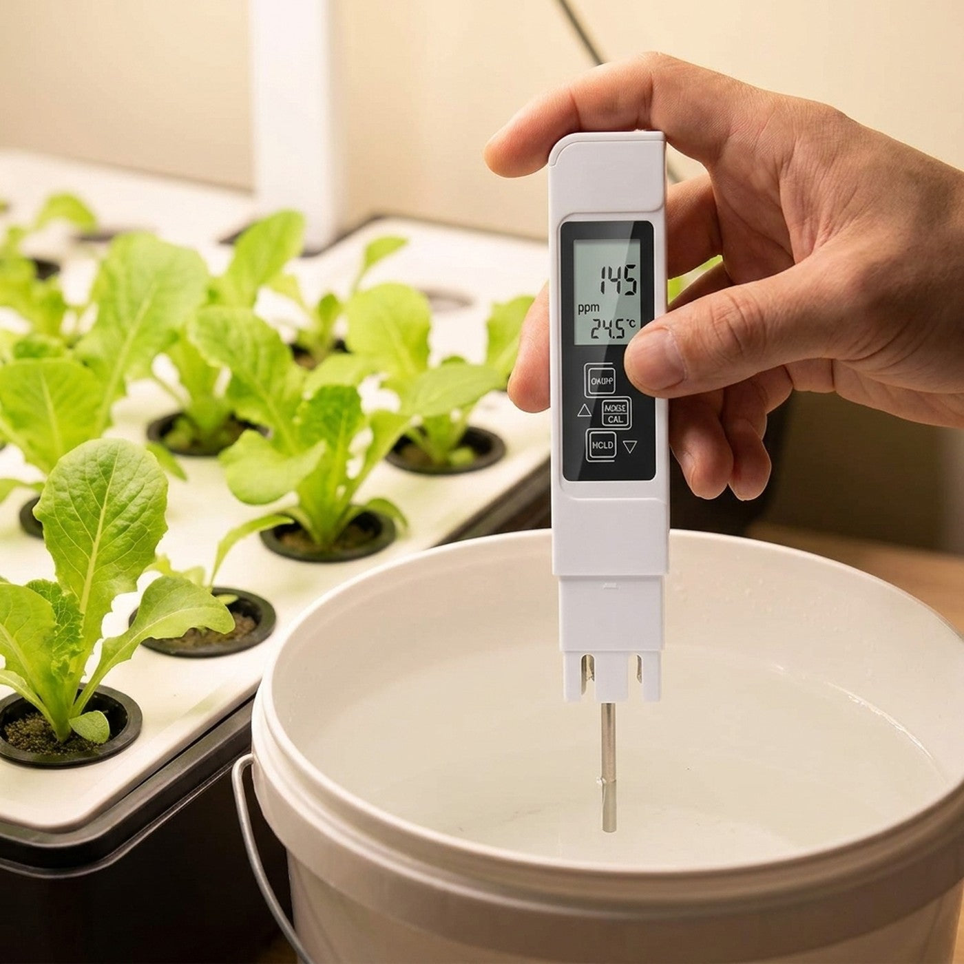 Midiendo la solucion nutritiva de un cultivo hidroponico
