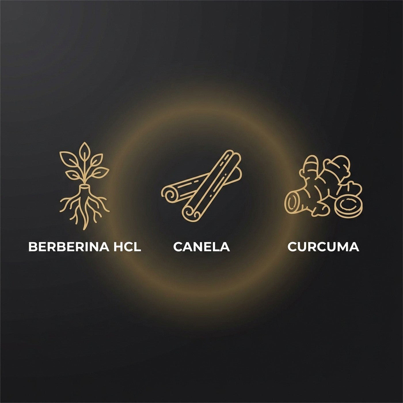 Berberina HCl con canela y curcuma